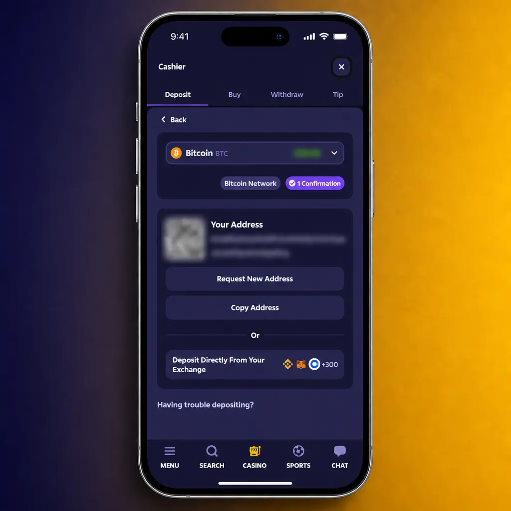 Step-by-step deposit instructions for Roobet Canada users showing registration, verification, and crypto funding process