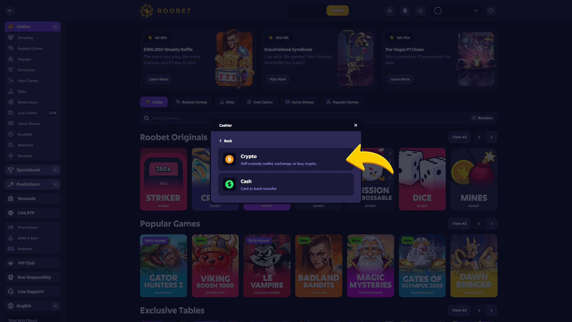 Make deposit after your Roobet registration.
